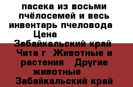 пасека из восьми пчёлосемей и весь инвентарь пчеловода › Цена ­ 60 000 - Забайкальский край, Чита г. Животные и растения » Другие животные   . Забайкальский край,Чита г.
